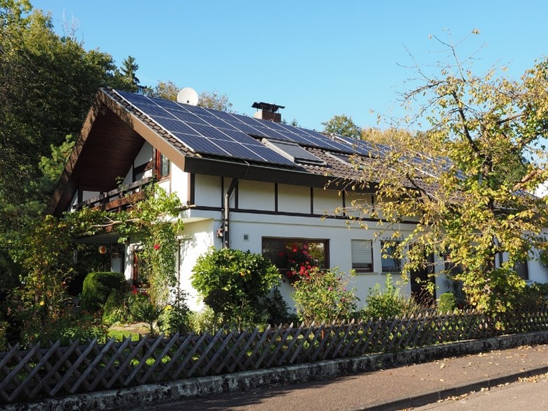 Bird-Proofing Your Solar Panels